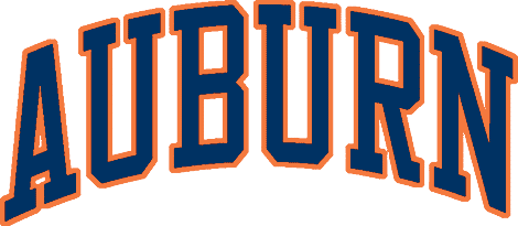 Auburn Tigers 1979-1996 Wordmark Logo DIY iron on transfer (heat transfer)